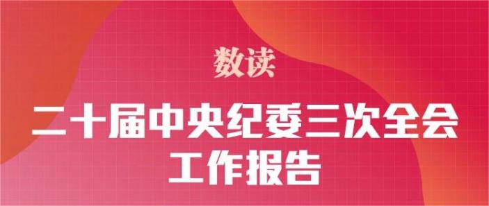 數(shù)讀二十屆中央紀(jì)委三次全會工作報告